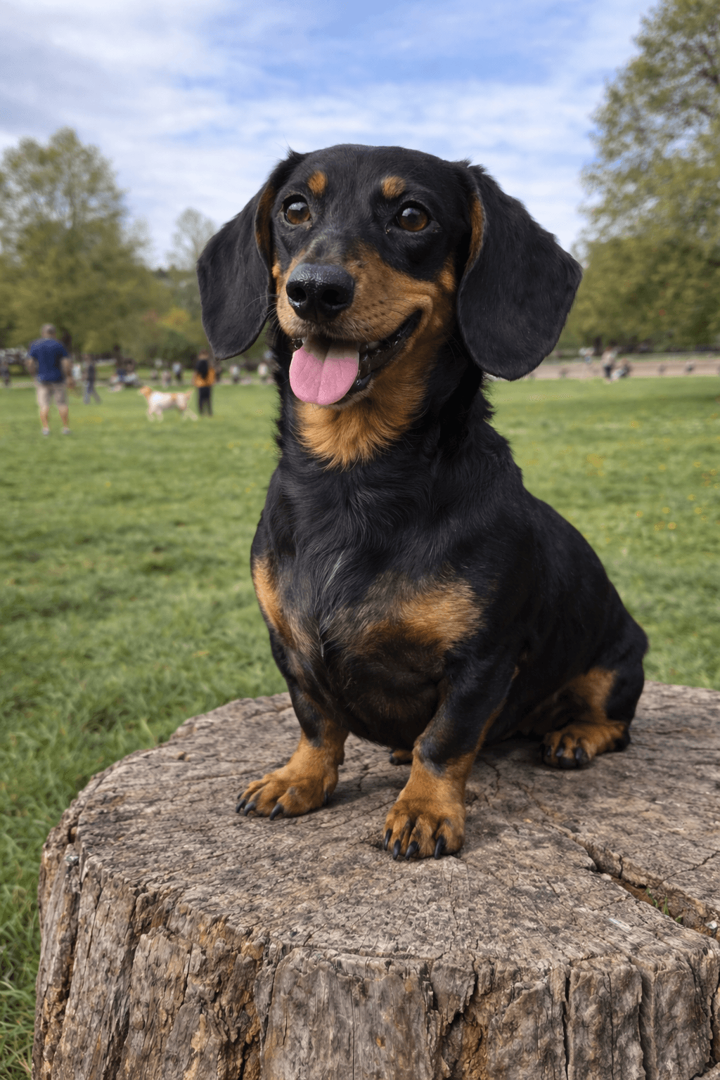 Prince Harry original photo